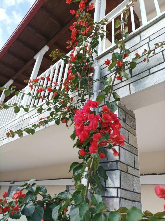 Bella Terra Nature Living 아스프로발타 외부 사진
